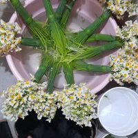 فروش گل نرگس بهبهان