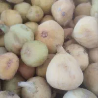 انجیر بدون مربایی درجه یک