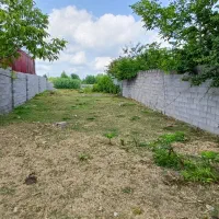 زمین۲۵۰متر مسکونی با استعلامات کامل دورمحصور|فروش زمین و ملک کلنگی|خشکبیجار, |دیوار