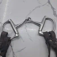 دهانه اسب