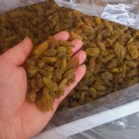 کشمش پلویی ۲۵۰ وخشکبار سبزوار