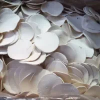 کشک  صنعتی و سنتی|خوردنی و آشامیدنی|مشهد, موسوی قوچانی|دیوار