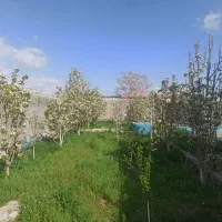 ویلا باغ کاملا آماده و دنج محدوده شبستر علی بیگلو|فروش خانه و ویلا|شبستر, |دیوار