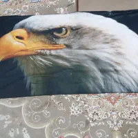 مجموعه کلکسیونی قدیمی شیک درحد نو|کلکسیون اشیاء عتیقه|کرمانشاه, |دیوار