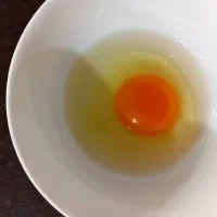 رسمی|خوردنی و آشامیدنی|مشهد, حرم مطهر رضوی|دیوار