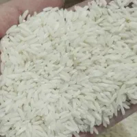 برنج هاشمی درجه یک