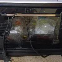 توستر مارک پرینسس