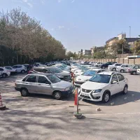 ساینا سواری 95