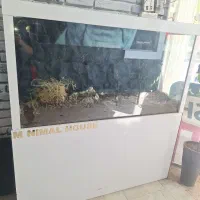 آکواریوم بزرگ با میز فلزی mdf