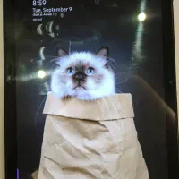 تبلت سامسونگ مدل Galaxy Tab A7 10.4 SM-T505-4G|تبلت|تهران, بنی‌هاشم|دیوار