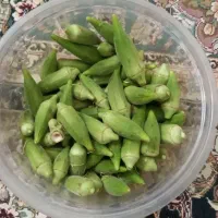 فروش مستقیم بامیه از مزرعه|خوردنی و آشامیدنی|قم, بنیاد|دیوار