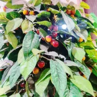 درختچه مصنوعی