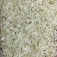 برنج ونیم دانه کامفیروزی و عنبربو درجهیک میخای بیا|خوردنی و آشامیدنی|شیراز, تندگویان|دیوار