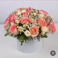پخش عمده گل و لوازم گل‌آرایی در اندیمشک|گل و گیاه طبیعی|دزفول, |دیوار