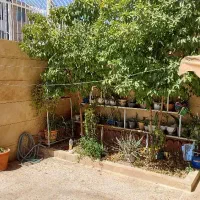 ویلایی دوطبقه 260 متر تاپ لوکیشن هرمزگان|فروش خانه و ویلا|شیراز, شهرک ولیعصر|دیوار