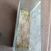 آکواریوم|لوازم جانبی حیوانات|سبزوار, امیر کبیر|دیوار