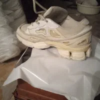 کتونی ها همگی وارداتی اورجینال میباشد