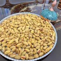 پسته اکبری نگین سبز کرمان