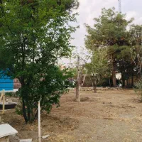 1100متر-ملک-تجاری