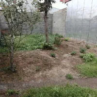 فروش زمین مسکونی|اجارهٔ خانه و ویلا|رشت, حومه رشت|دیوار