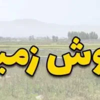 فروش زمین ۵۰۵ متری در پاسداران انزلی