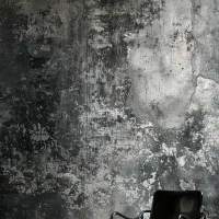 فروش و پخش کاغذ دیواری و پارچه دیواری|خدمات پیشه و مهارت|شیراز, زرگری|دیوار