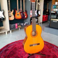 پایه وارداتی انواع گیتار و تار|گیتار، بیس، امپلیفایر|قزوین, |دیوار