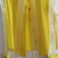 شومیز مجلسی