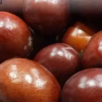 نهال زرشک وعناب وتوت وسنجد وانجیر وانار|حراج|زاهدان, |دیوار