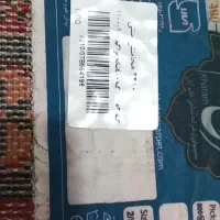 فرش|فرش|کرمان, |دیوار