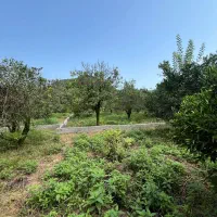 فروش زمین ۳۳۶ متری شهرکی همت آباد