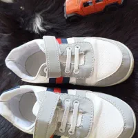 کفش مارک لویز /کفش و پوتین  خارجی بچگانه|کیف، کفش، کمربند|بروجن, |دیوار