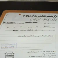 ساینا بیرنگ