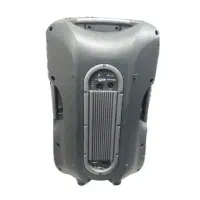 باند اکتیو 15اینچ