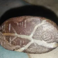 مهره ومجسمه سنگی|کلکسیون اشیاء عتیقه|شیراز, سلطان آباد|دیوار