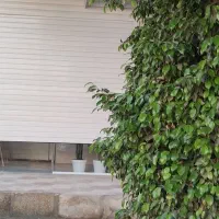 فروش مغازه تجاری در بهمنی