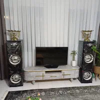 اسپیکر و سیستم خانواده