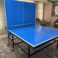 میز پینگ پنگ