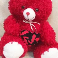 عروسک خرسی|اسباب‌بازی بچه|تهران, سازمان برنامه شمالی|دیوار