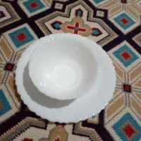 آرکوپال ۱۸ نفره|ظروف سرو و پذیرایی|شاهین دژ, |دیوار