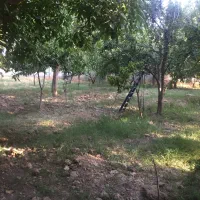 باغبان وسرایدار