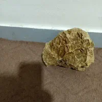 سنگ
