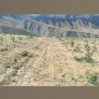 زمین ارسی هادیشهر ۸۰۰۰متر