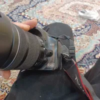 دوربین عکاسی کنون|دوربین عکاسی و فیلم‌برداری|ایلام, |دیوار