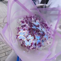 گل جاودان|گل مصنوعی|رشت, تازه آباد|دیوار