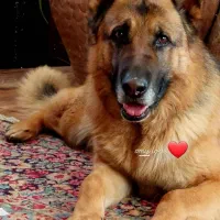 ژرمن (گم شده)