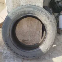 لاستیک‌‌ساینا‌ ‌نو‌سالم‌‌۵۰‌درصد‌داره‌