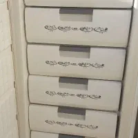 یخچال فریزر دوقولو ارج