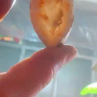 سنگ قیمتی عجیب