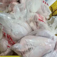 کالابرگ مرغ ماهی،بوقلمون۳۱۰،گوشت منجمد|خوردنی و آشامیدنی|ساوه, |دیوار